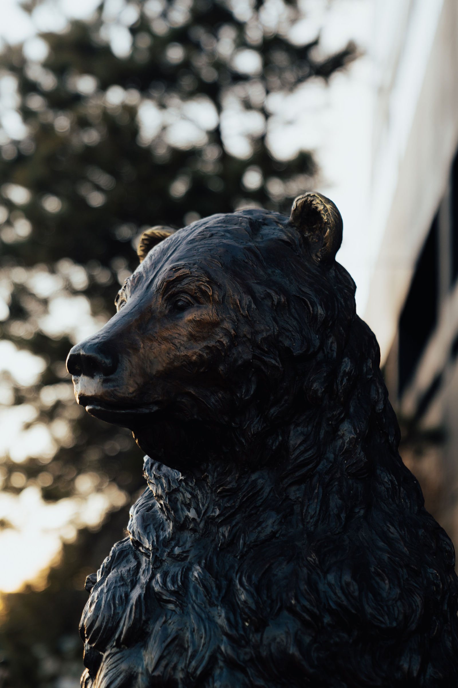 Bronze bear sculpture at Bear Valley Center
